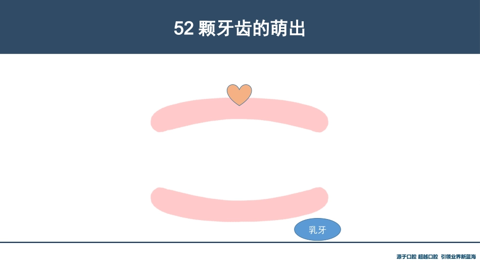 口腔培训118.牙齿基础知识_第7页