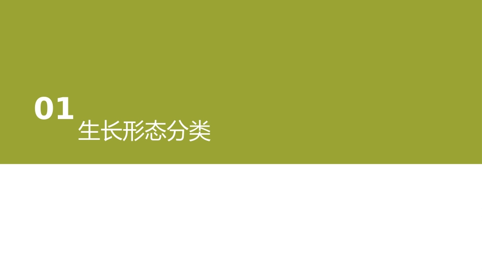 口腔培训126.阻生牙_第2页