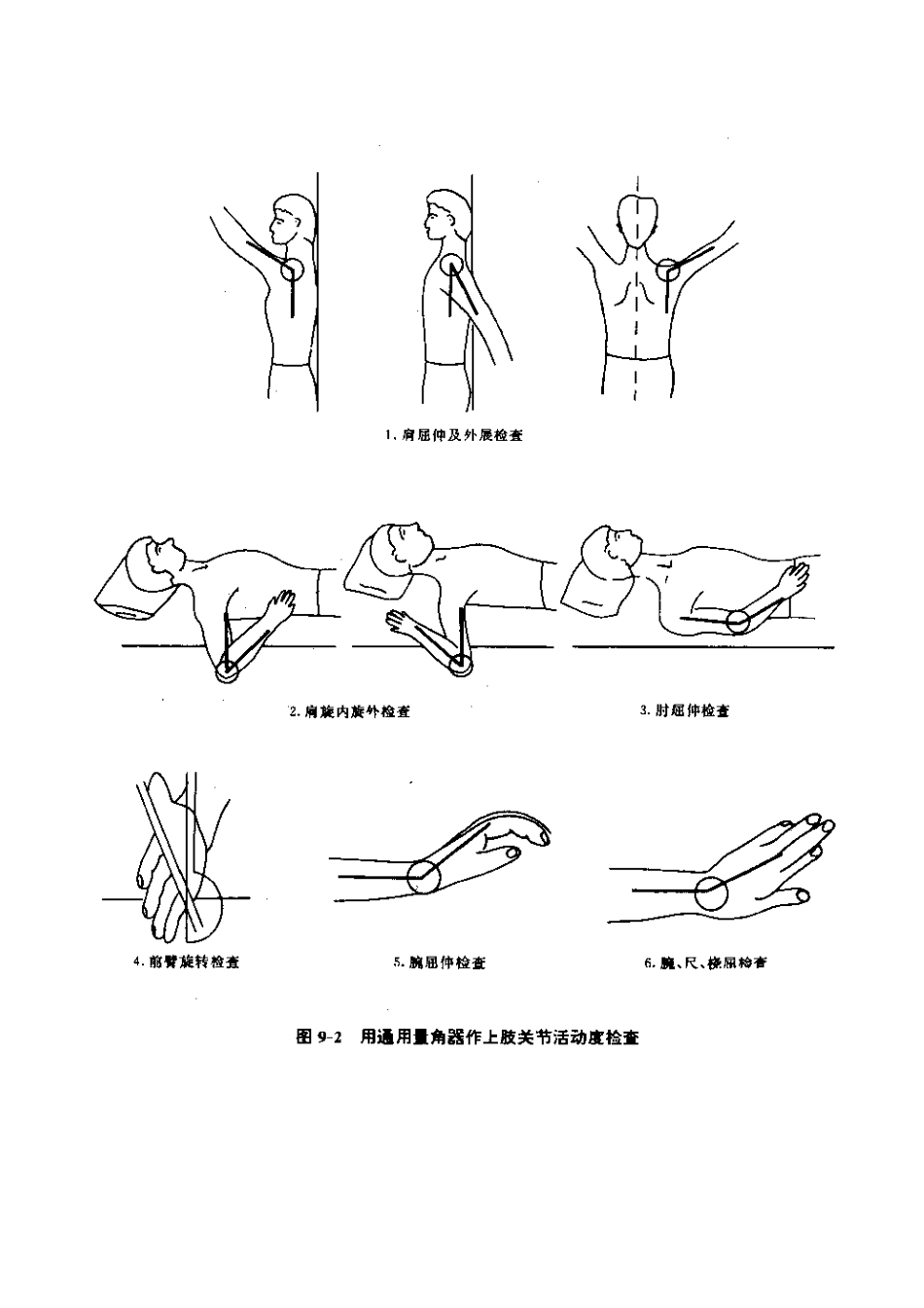 肌力与关节活动度评定图示_第10页
