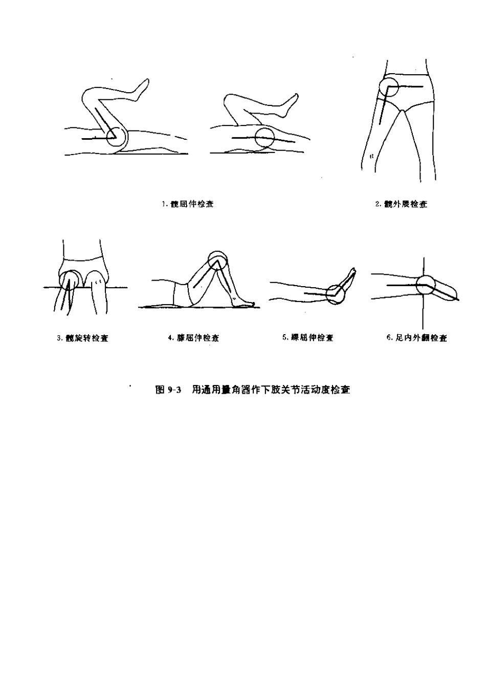 肌力与关节活动度评定图示_第11页