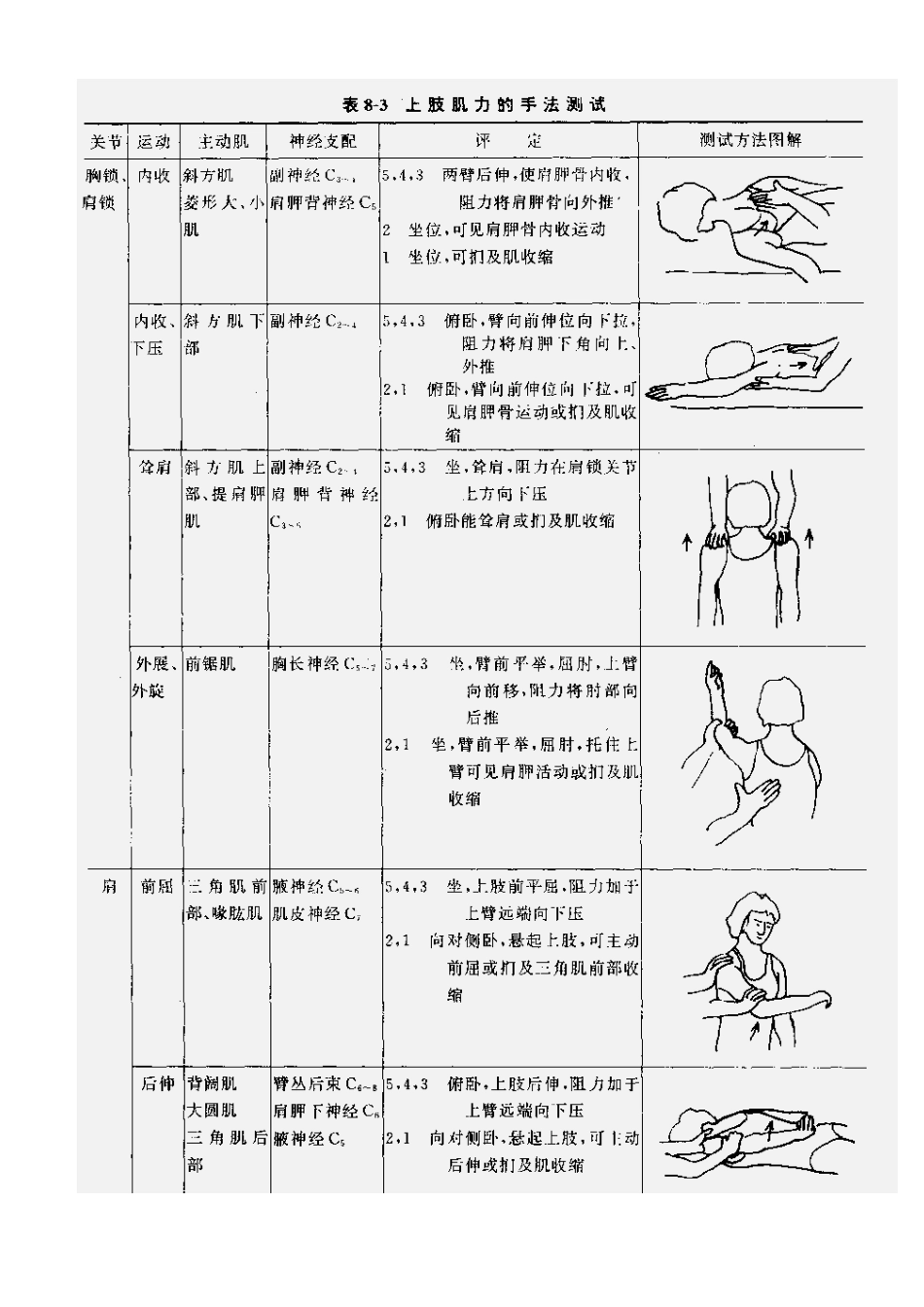 肌力与关节活动度评定图示_第2页
