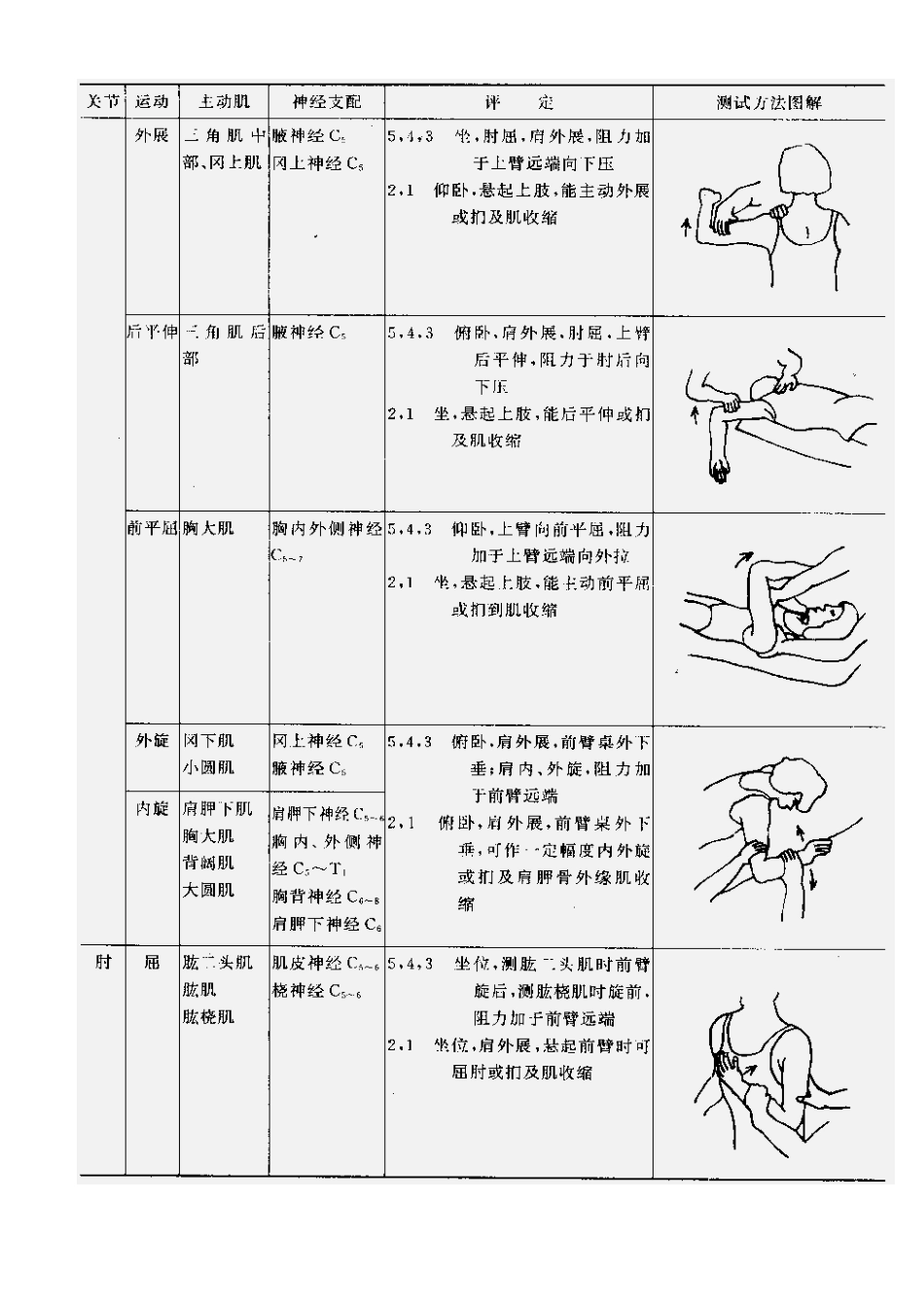 肌力与关节活动度评定图示_第3页