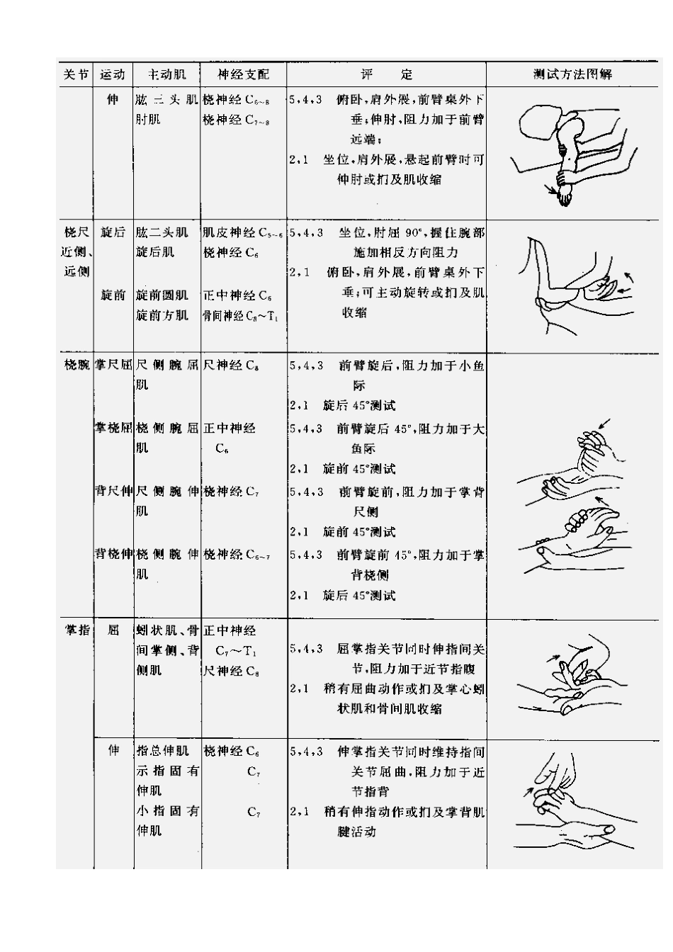 肌力与关节活动度评定图示_第4页