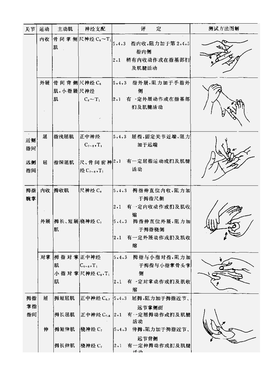 肌力与关节活动度评定图示_第5页