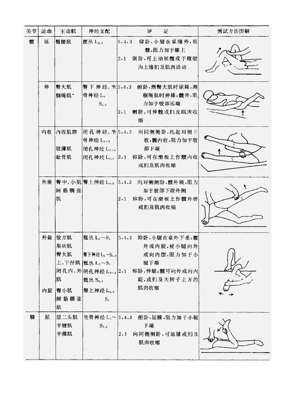 肌力与关节活动度评定图示_第6页