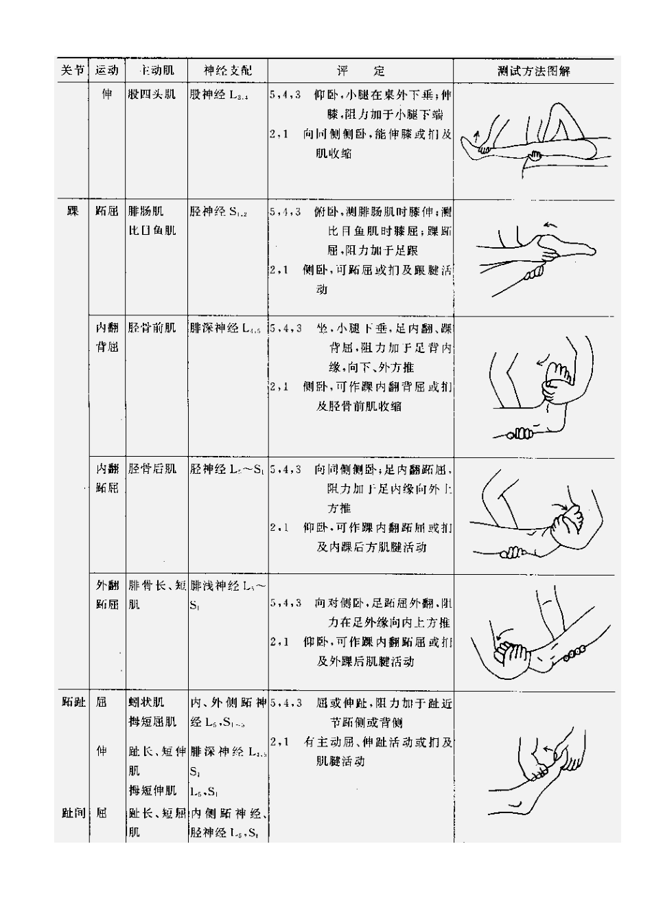 肌力与关节活动度评定图示_第7页