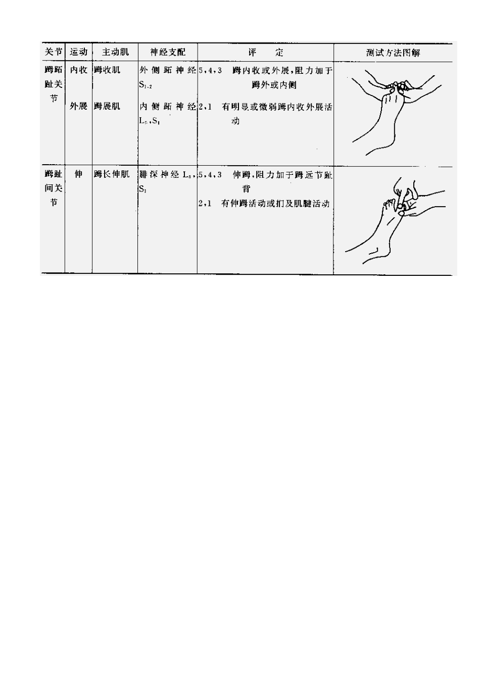 肌力与关节活动度评定图示_第8页