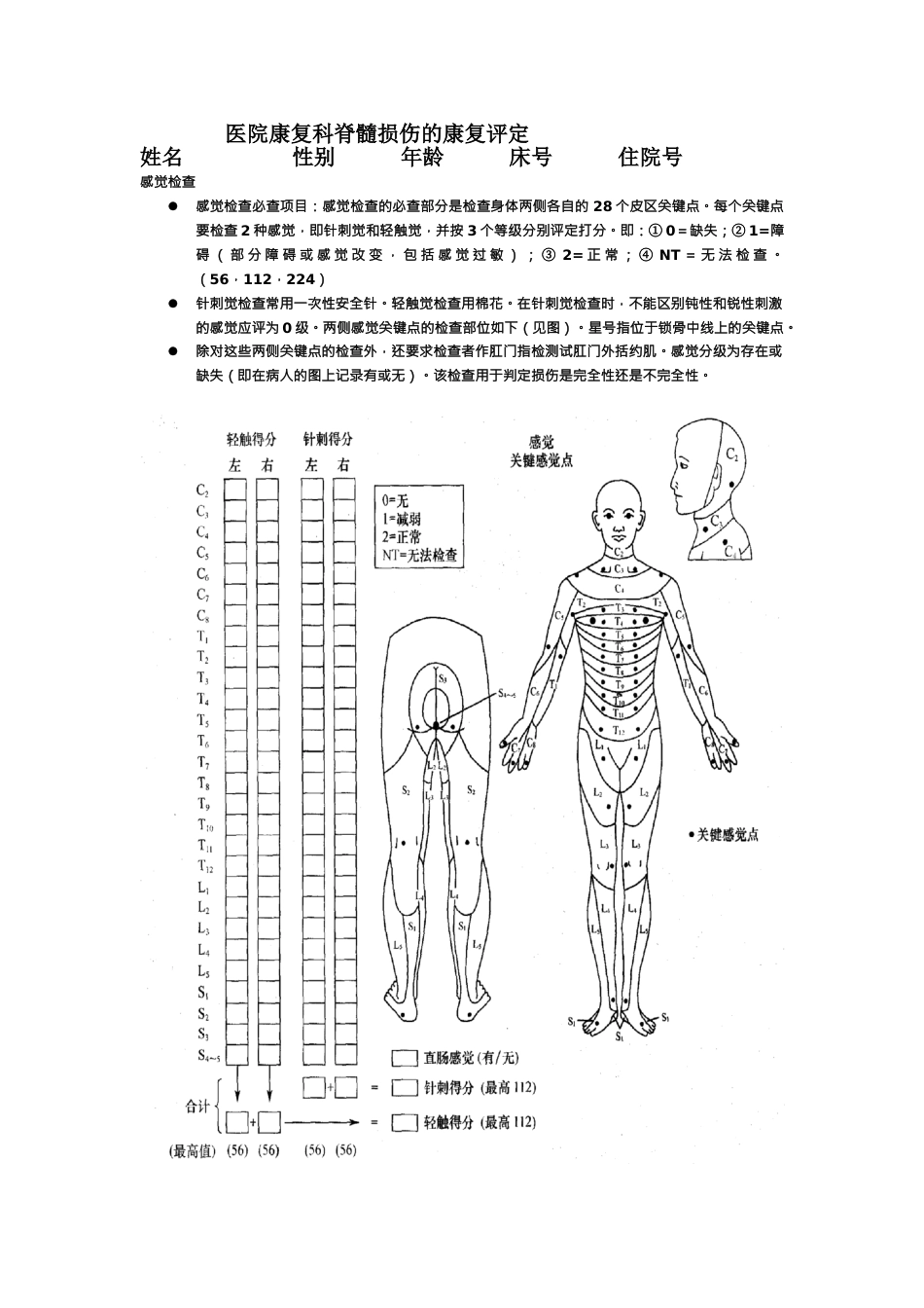 脊髓损伤评定表_第1页