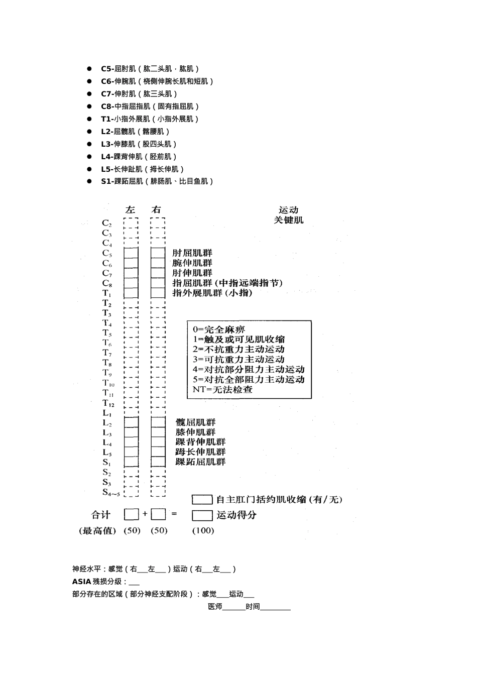 脊髓损伤评定表_第2页