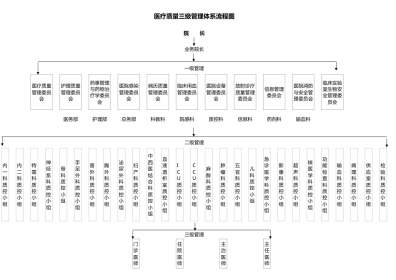 医疗质量三级管理 体系流程图