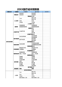 医疗成本 预算表