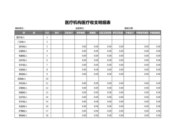 医疗机构医疗 收支明细表