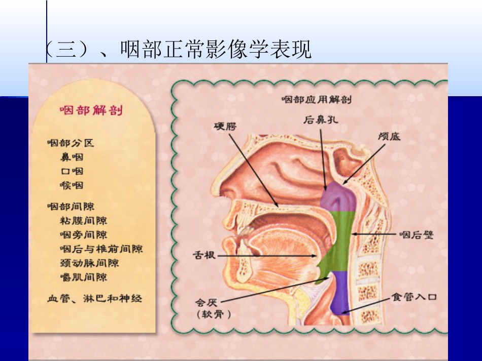 咽喉影像诊断学_第6页