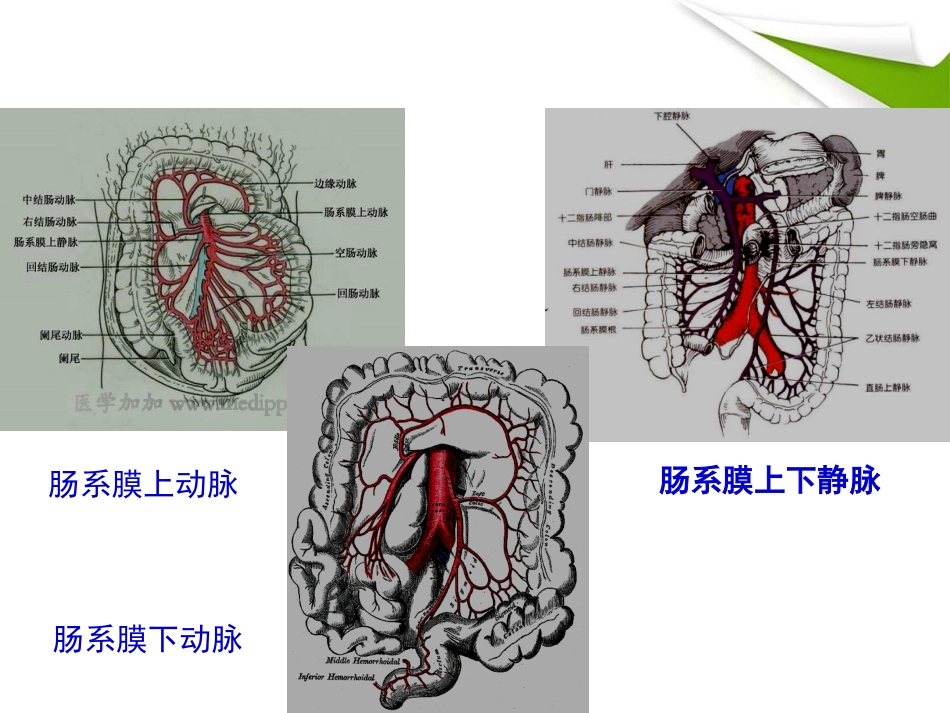 缺血性肠病的影像诊断_第4页