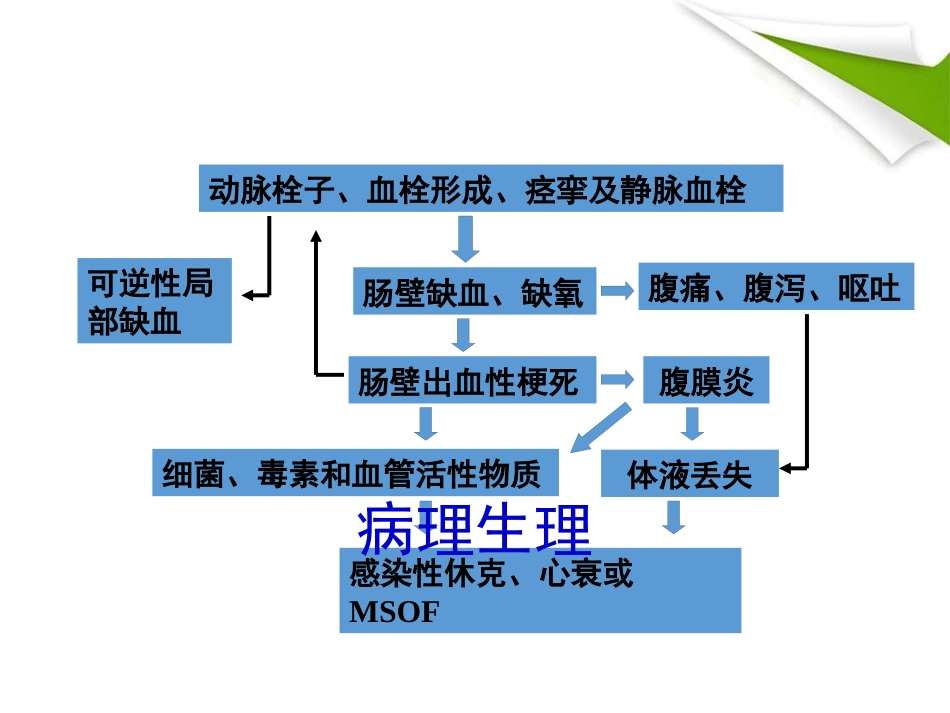 缺血性肠病的影像诊断_第7页