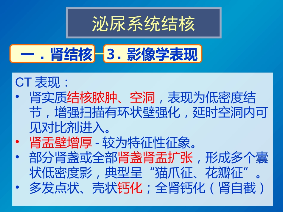泌尿系统感染影像诊断_第11页