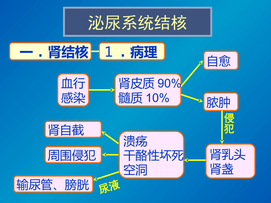 泌尿系统感染影像诊断_第3页