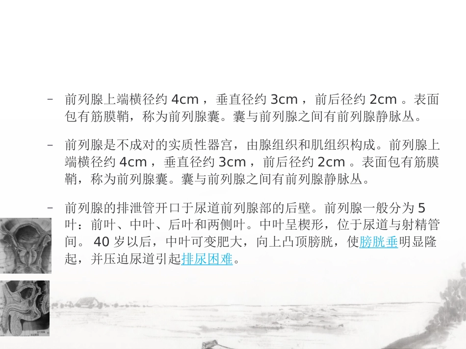 男性生殖系统疾病影像诊断_第7页