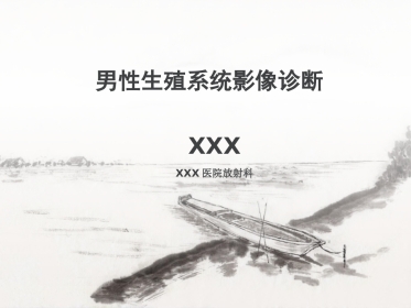 男性生殖系统疾病影像诊断