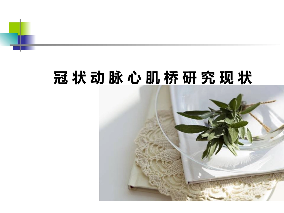 64排CT 对冠状动脉心肌桥的影像学评价_第2页