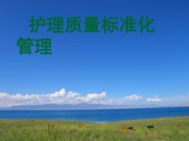 护理质量的标准化管理