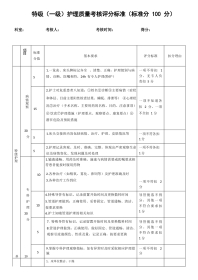 特(一)级护理质量考核标准