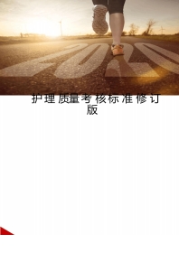 护理质量考核标准修订版