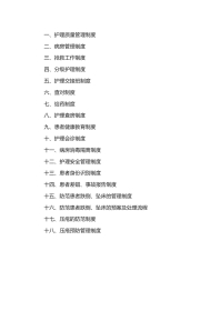 09.护理十八项核心制度
