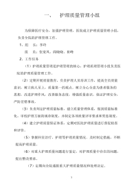 护理 质量管理体系