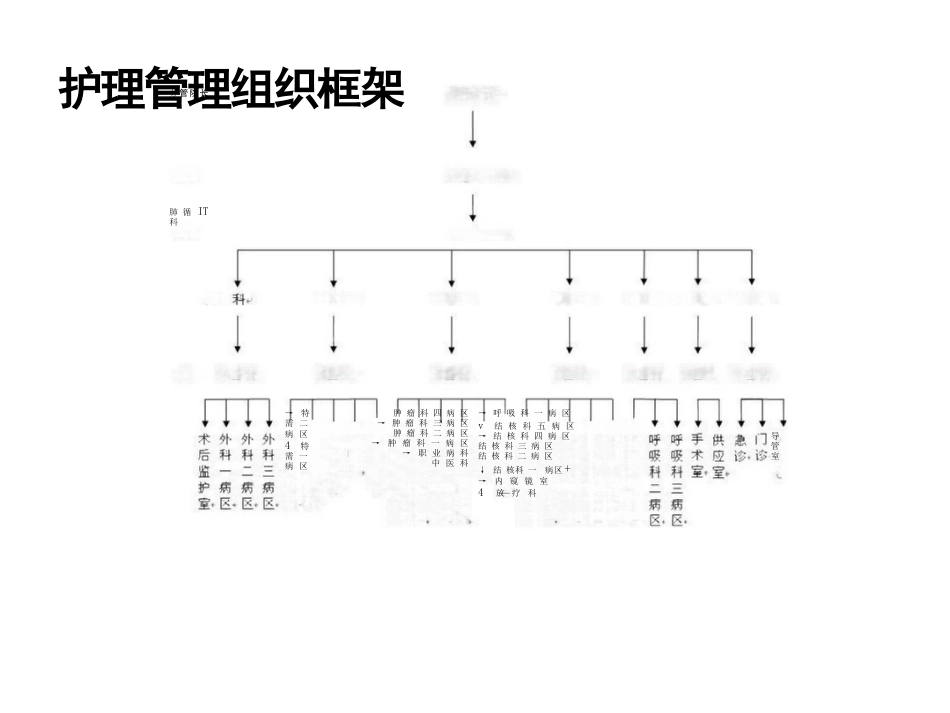 护理质控培训_第3页