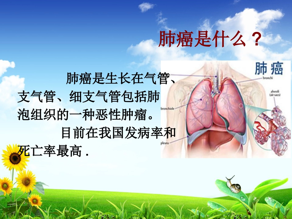 肺癌离我们有多远_第3页
