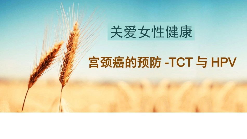 宫颈癌的预防_第1页