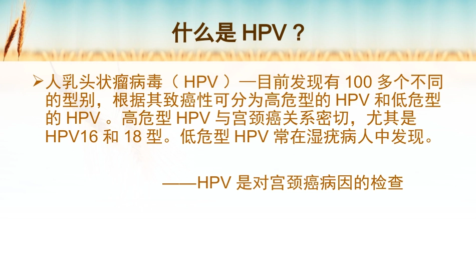 宫颈癌的预防_第14页