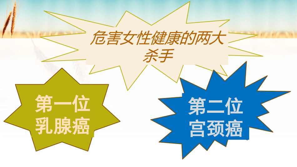 宫颈癌的预防_第2页