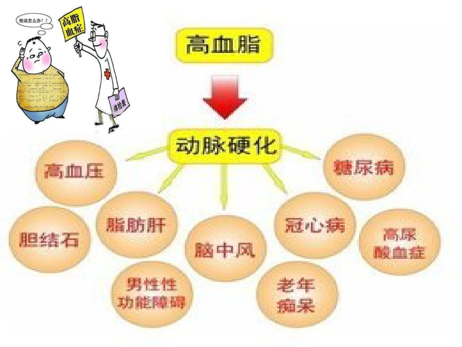 血脂异常 可防可控_第13页