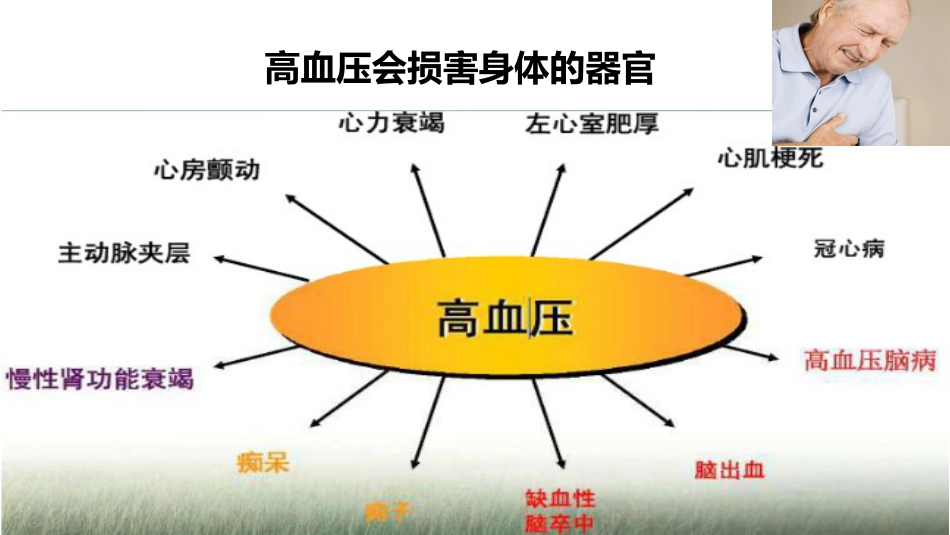 高血压科普宣教_第9页