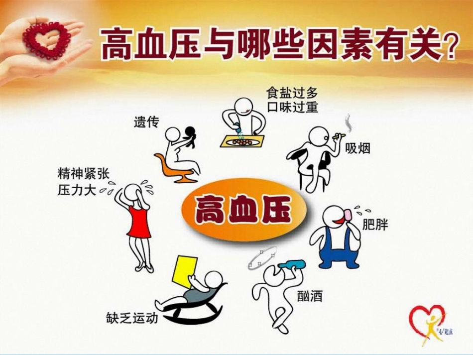 高血压健康知识_第10页