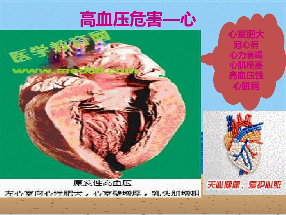 高血压健康知识_第15页