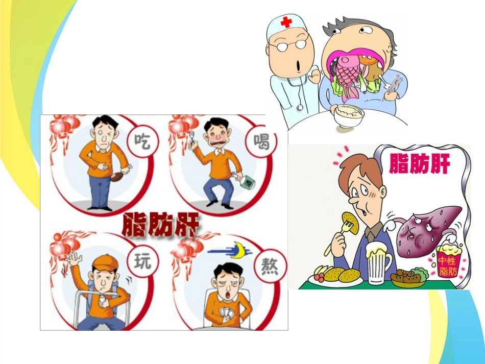 关爱健康，保护肝脏_第4页