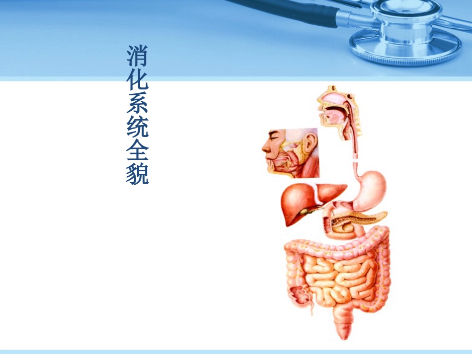 消化性溃疡_第4页