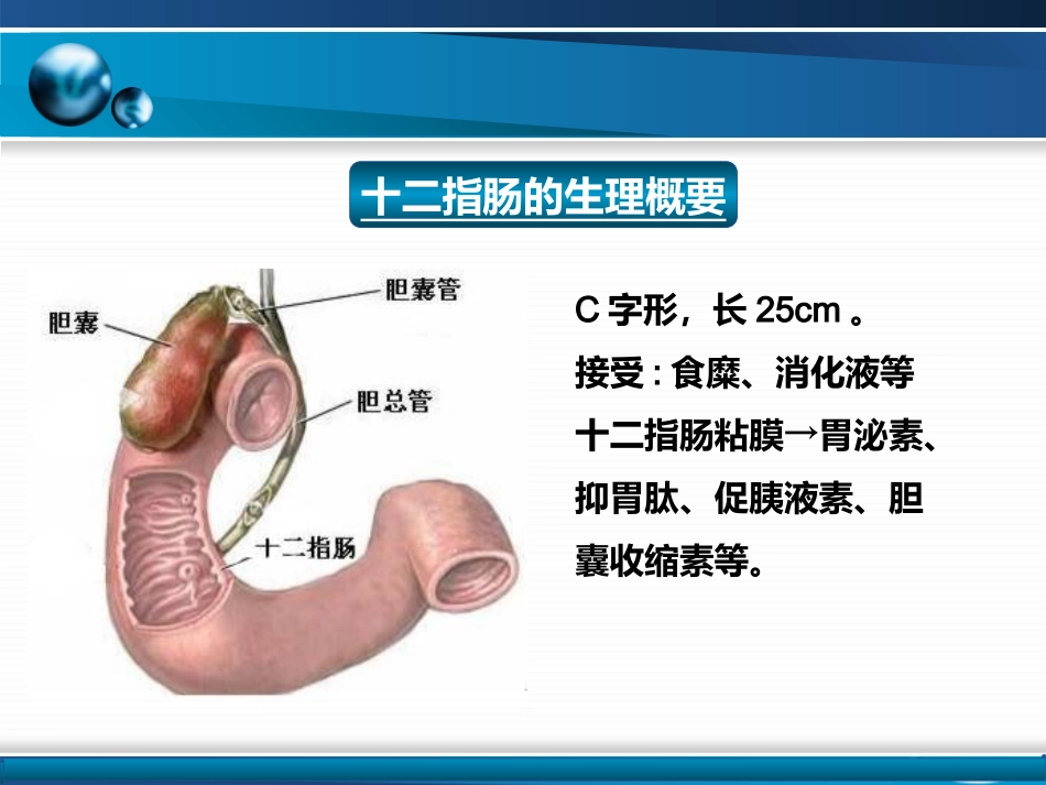 胃十二指肠疾病_第8页