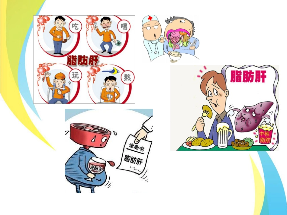 脂肪肝_第3页