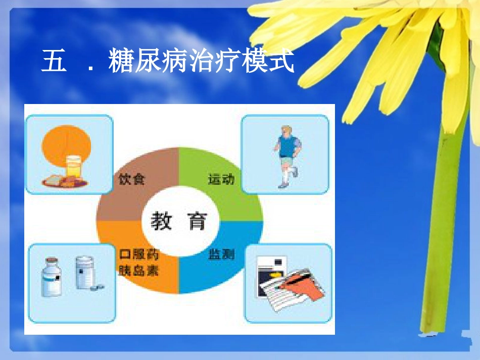 糖尿病健康知识_第12页