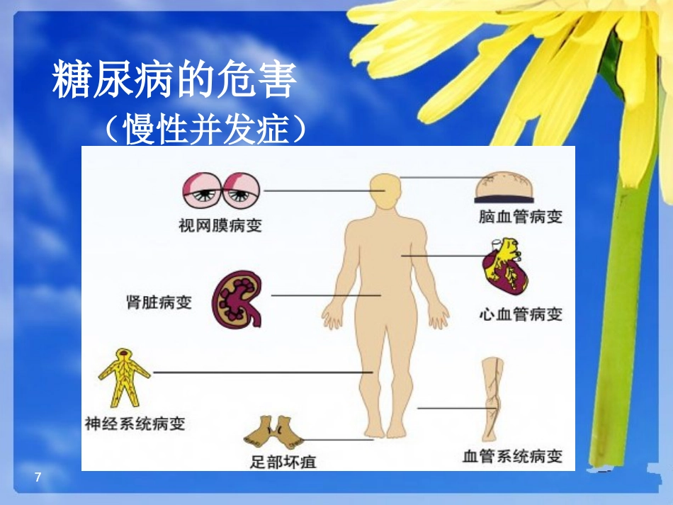 糖尿病健康知识_第7页