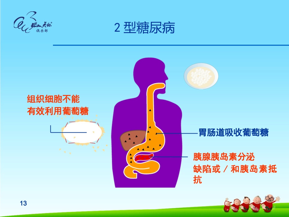 糖尿病健康知识讲座_第13页