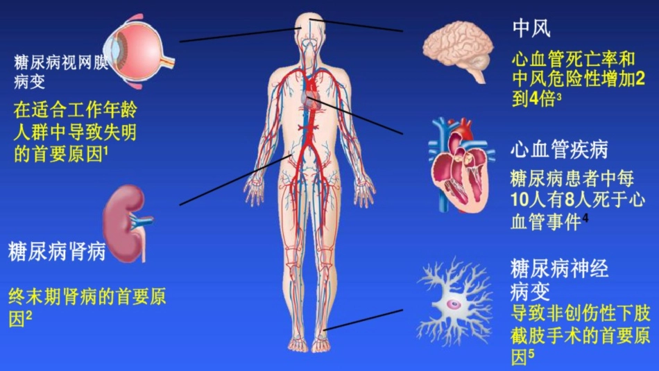 糖尿病的相关检查项目_第3页