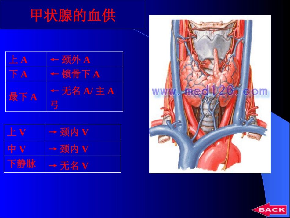 内分泌科-甲状腺疾病教学教案_第11页