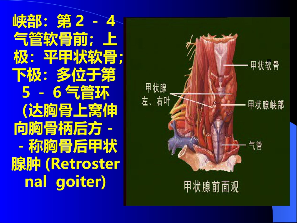 内分泌科-甲状腺疾病教学教案_第9页