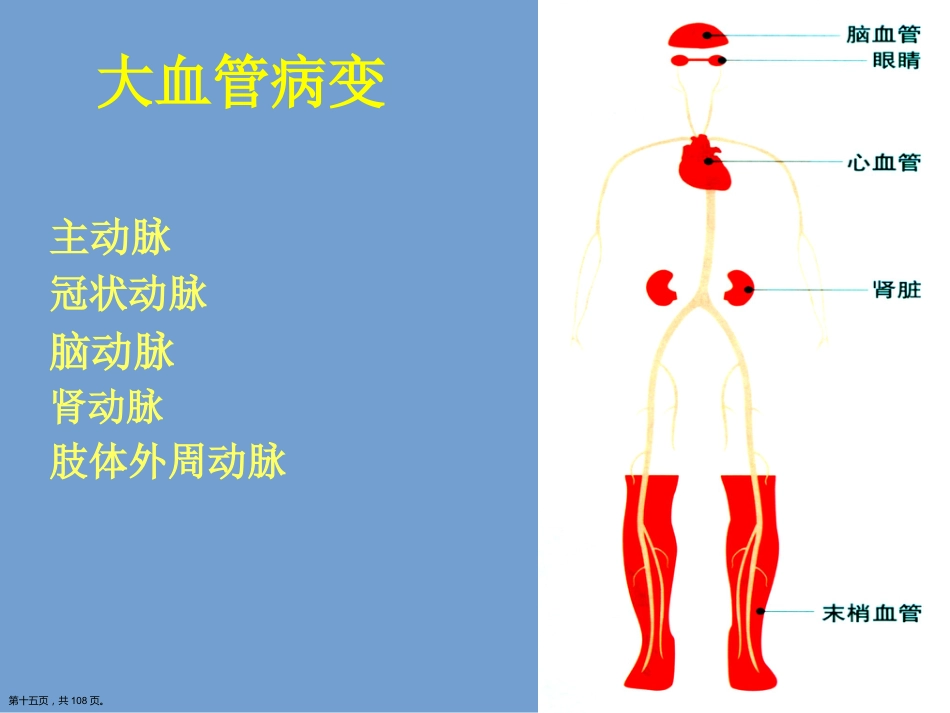 糖尿病健康知识讲座.详解演示文稿_第15页