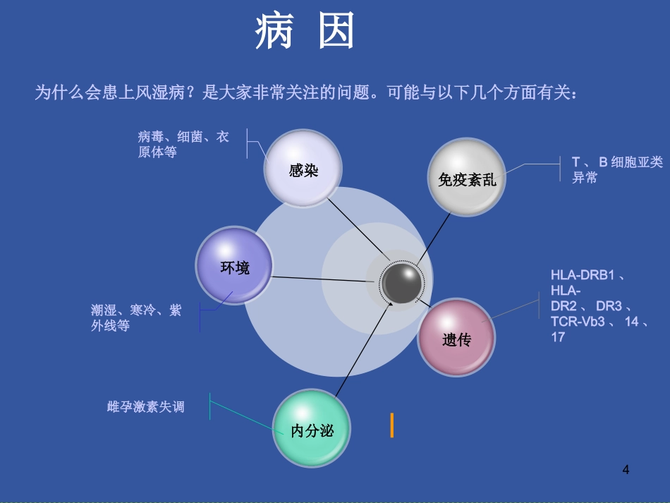 风湿免疫科-风湿病是在怎么引起的_第4页